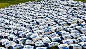 Ekogroszek Workowany w Warmińsko-Mazurskim